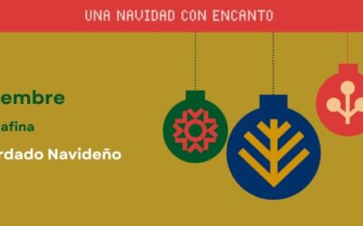 LUNES 30 DE DICIEMBRE: TALLER DE BORDADO NAVIDEÑO