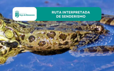 Ruta interpretada de senderismo “El regreso a las charcas” el próximo 8 de marzo en Hoyo de Manzanares