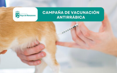 Campaña de vacunación antirrábica 2025 en Hoyo de Manzanares