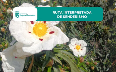 Ruta interpretada de senderismo en Hoyo de Manzanares: “El discurrir de la primavera”