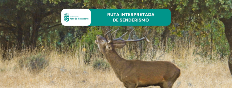 Nueva ruta interpretada de senderismo el 13 de septiembre: Ruta “Con el lomo mojado”