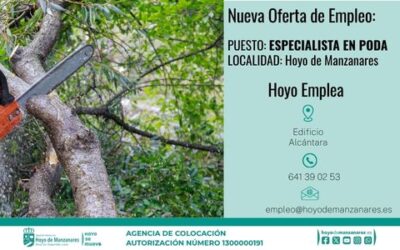 Oferta de Empleo en Hoyo Emplea