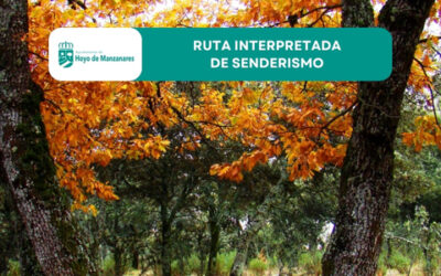 Ruta interpretada de senderismo el 8 de noviembre: «Hablemos del bosque»