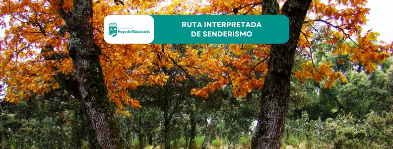 Ruta interpretada de senderismo el 8 de noviembre: «Hablemos del bosque»