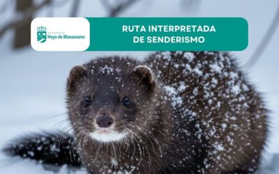 Sábado 10 de enero: Ruta interpretada de senderismo “La fragilidad de nuestros ecosistemas: Las especies invasoras”