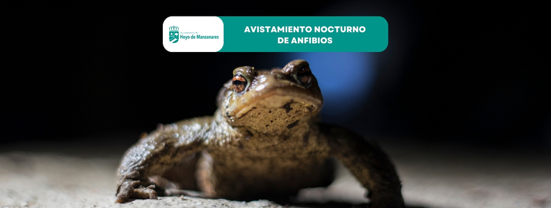 Actividad nocturna “Te escucho, alto y claro”: avistamiento de anfibios en familia