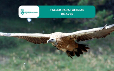 Taller familiar de aves en Hoyo de Manzanares