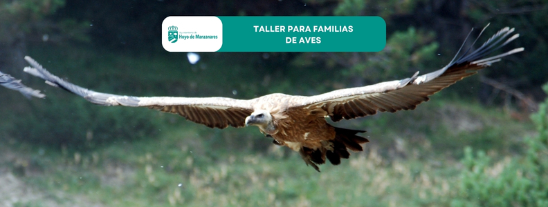 Taller familiar de aves en Hoyo de Manzanares