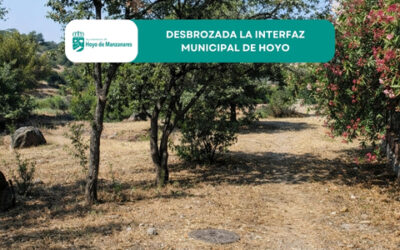 Desbrozada la interfaz municipal para un Hoyo más seguro