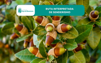 Ruta interpretada de Senderismo «Especies autóctonas e invasoras»